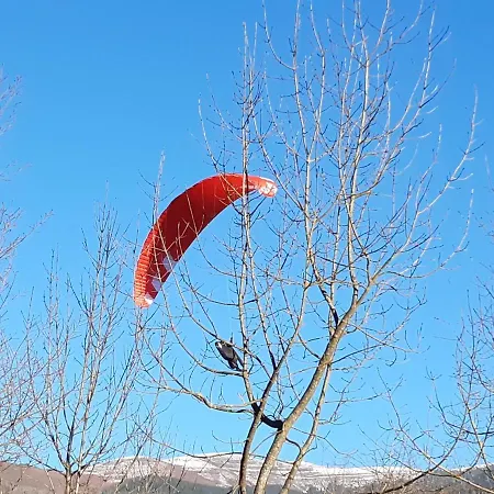 T2 Renove Rdc Quartier Pavillonnaire Apartmán *