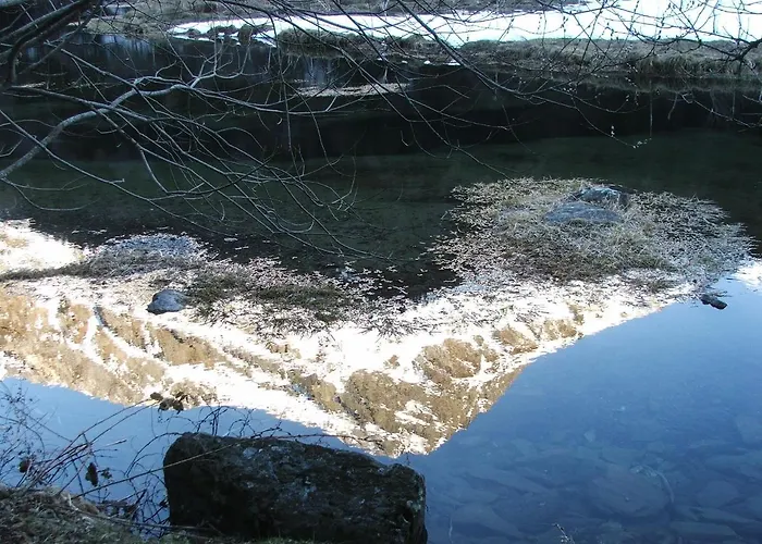 T2 Renove Rdc Quartier Pavillonnaire