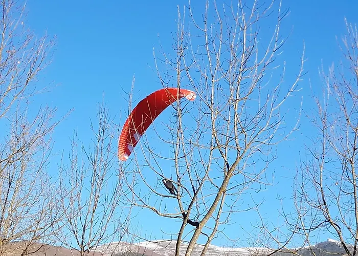 T2 Renove Rdc Quartier Pavillonnaire Appartement *