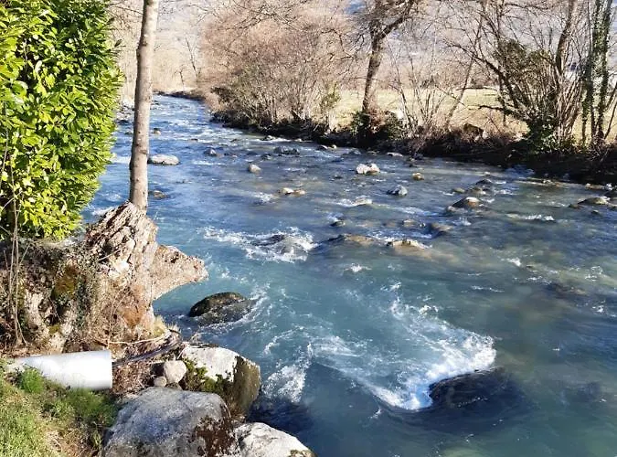 T2 Renove Rdc Quartier Pavillonnaire Appartement *